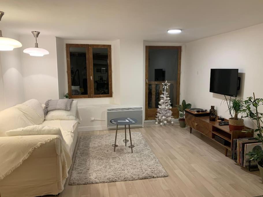 Au Coeur De La Veille Ville D'Annecy Exterior foto